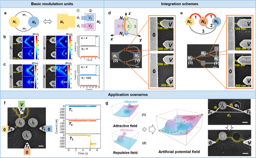 ded24569678b4b38b9a0242dbc588da2.png ded24569678b4b38b9a0242dbc588da2.png