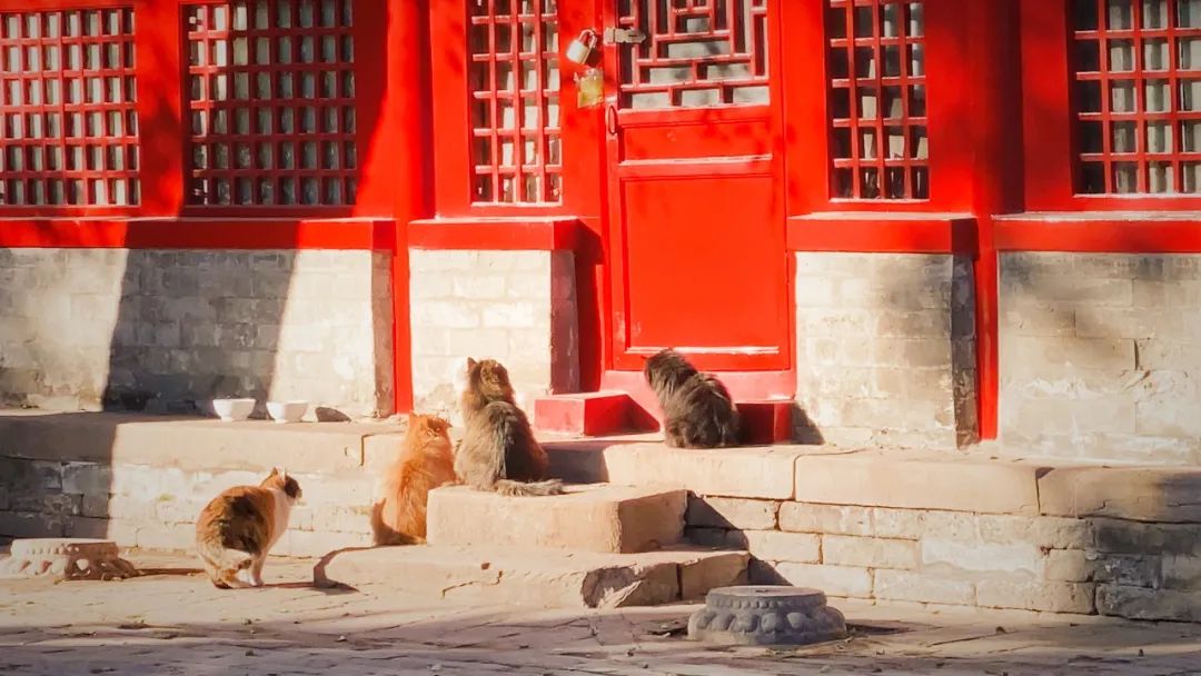 73a3754963764786ae5a919fe9c9d8d1.jpg 73a3754963764786ae5a919fe9c9d8d1.jpg