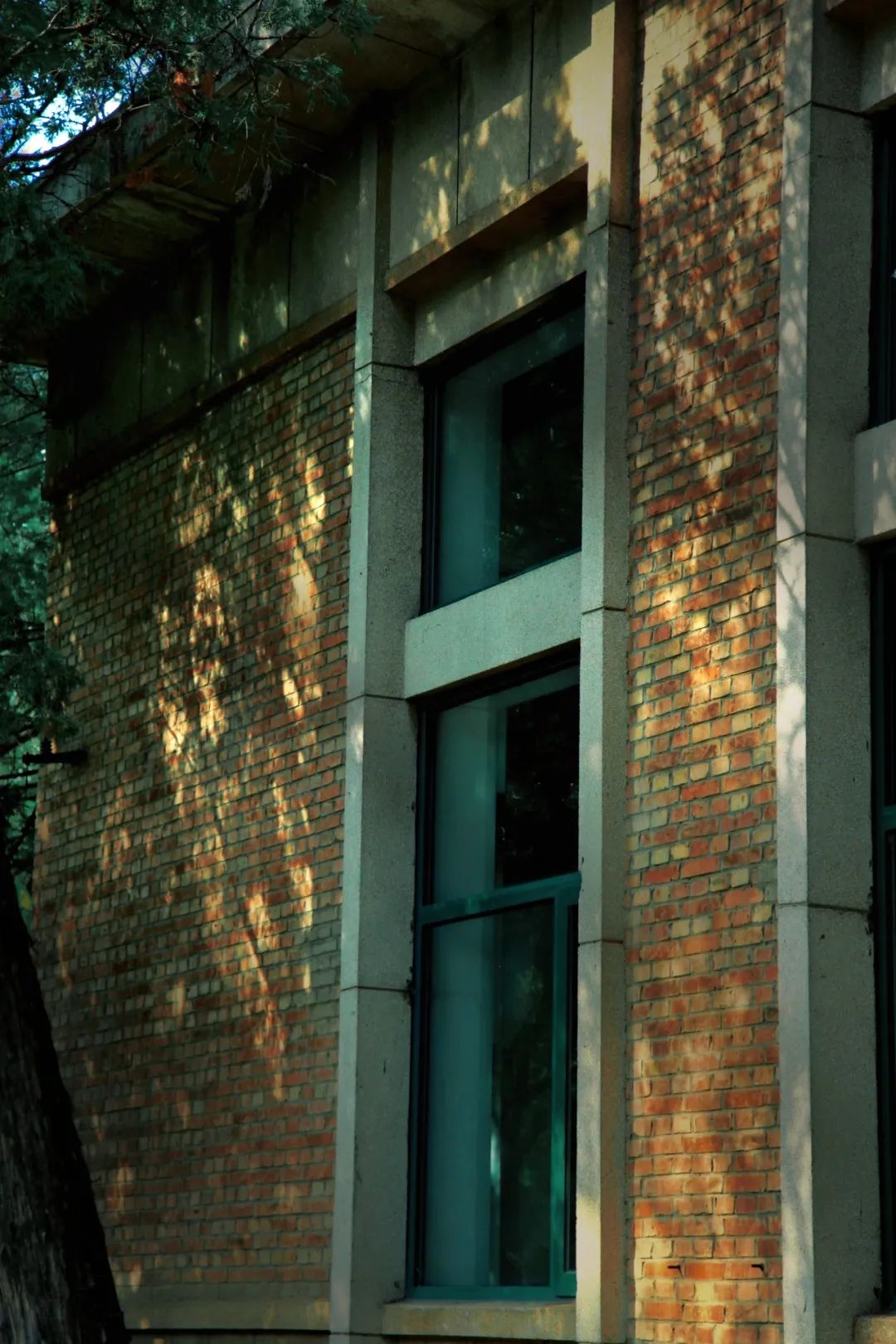 79617834be294a28a66c9c5f5c9611b7.jpg 79617834be294a28a66c9c5f5c9611b7.jpg