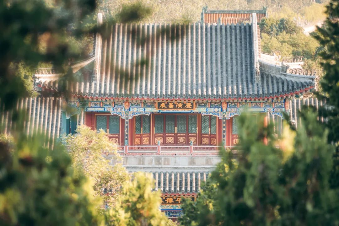 8315416b2ee749259dec8923c84366e5.jpg 8315416b2ee749259dec8923c84366e5.jpg