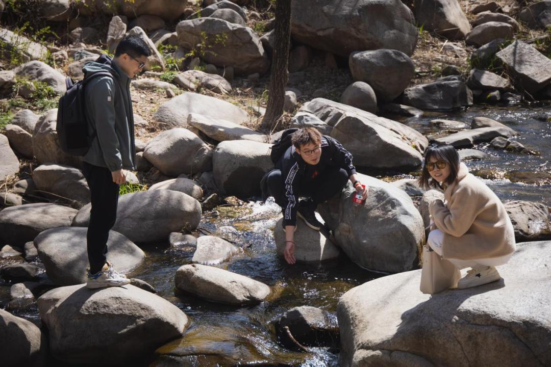 16045f90bcc948b9927462dff119d192.png 16045f90bcc948b9927462dff119d192.png