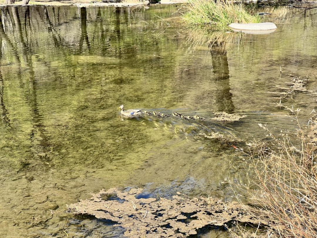 3eb5bfb7416e4ac8ab16cf265a243906.png 3eb5bfb7416e4ac8ab16cf265a243906.png