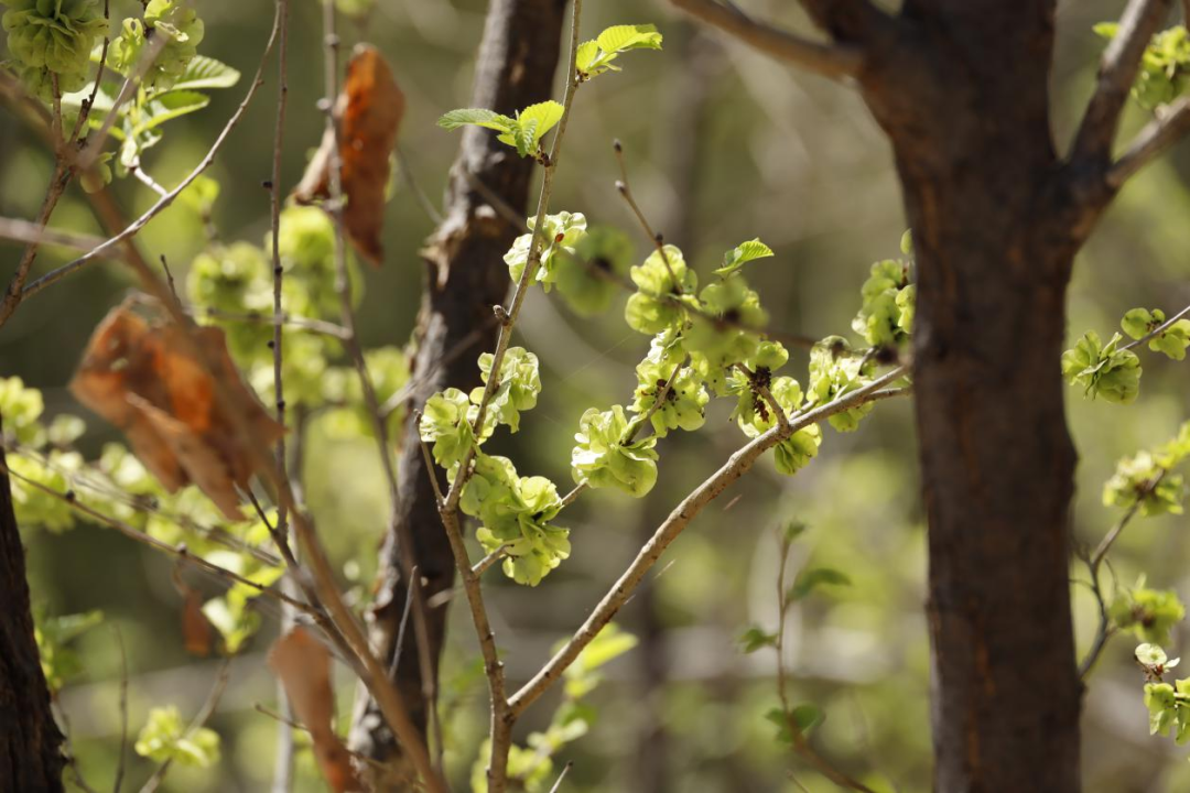 92b8690a545144fa869722fe443cf1c1.png 92b8690a545144fa869722fe443cf1c1.png