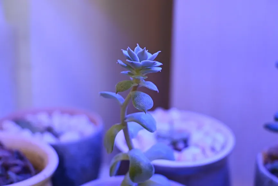 410f5abcf64548f880dd58ce989d8277.png 410f5abcf64548f880dd58ce989d8277.png