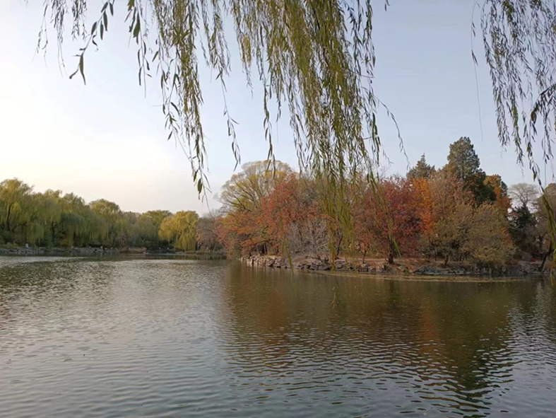 8092366b088a47d7bc7afefca009f0ef.png 8092366b088a47d7bc7afefca009f0ef.png